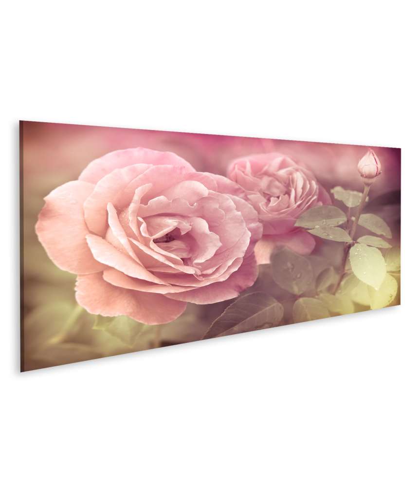 Islandburner Bild auf Leinwand Abstraktes Wandbild mit pastellrosa Rosen und Wassertropfen