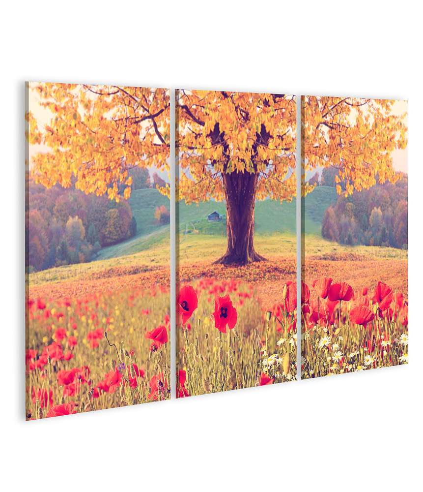 Islandburner Bild auf Leinwand Herbstliche Landschaft mit Mohnblumen und Baum in wundervollen Farben