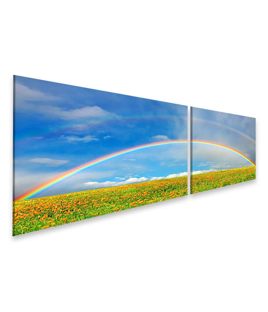 Islandburner Bild auf Leinwand Bunte Regenbogenlandschaft mit blühendem Blumenfeld