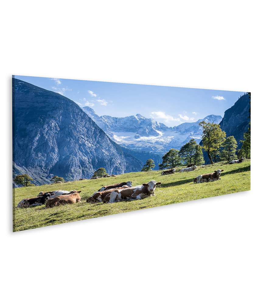 Islandburner Bild auf Leinwand Alpenlandschaft mit Kühen auf einer idyllischen Wiese