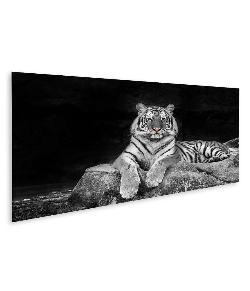 Islandburner Bild auf Leinwand Schwarz-Weiß Wandbild eines Tigers, der auf einem Stein liegt