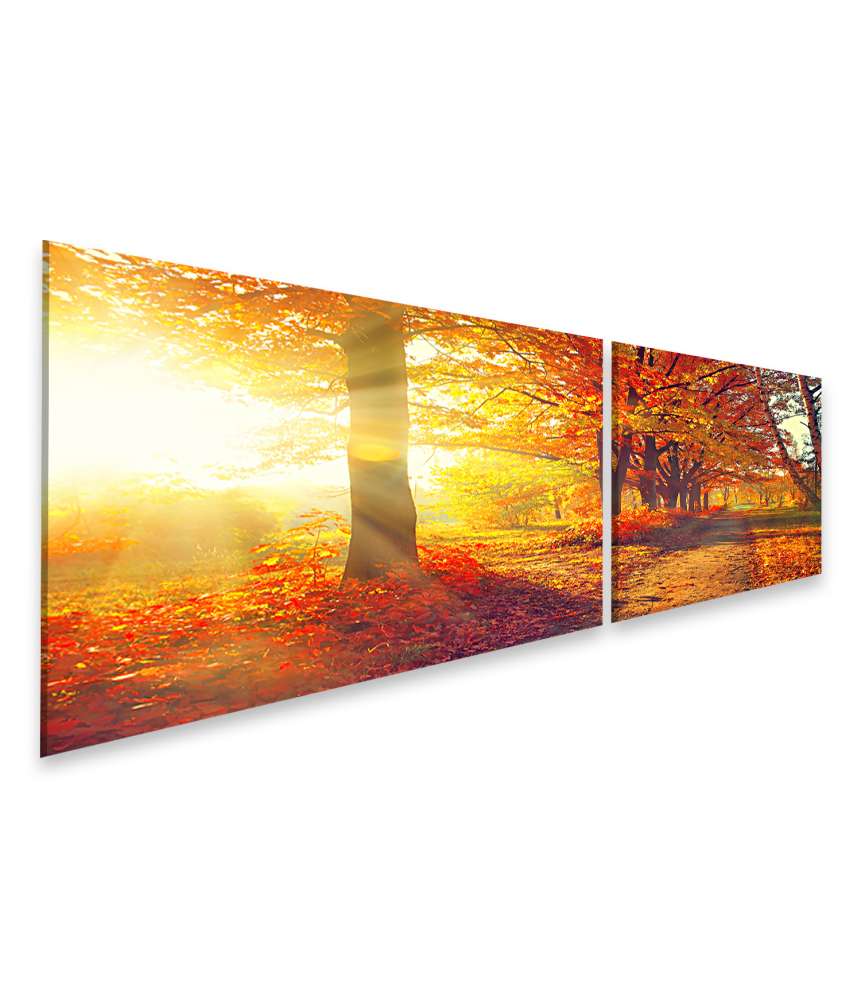 Islandburner Bild auf Leinwand Herbstpark mit sonnenbeschienenen, herbstlich gefärbten Bäumen und Blättern