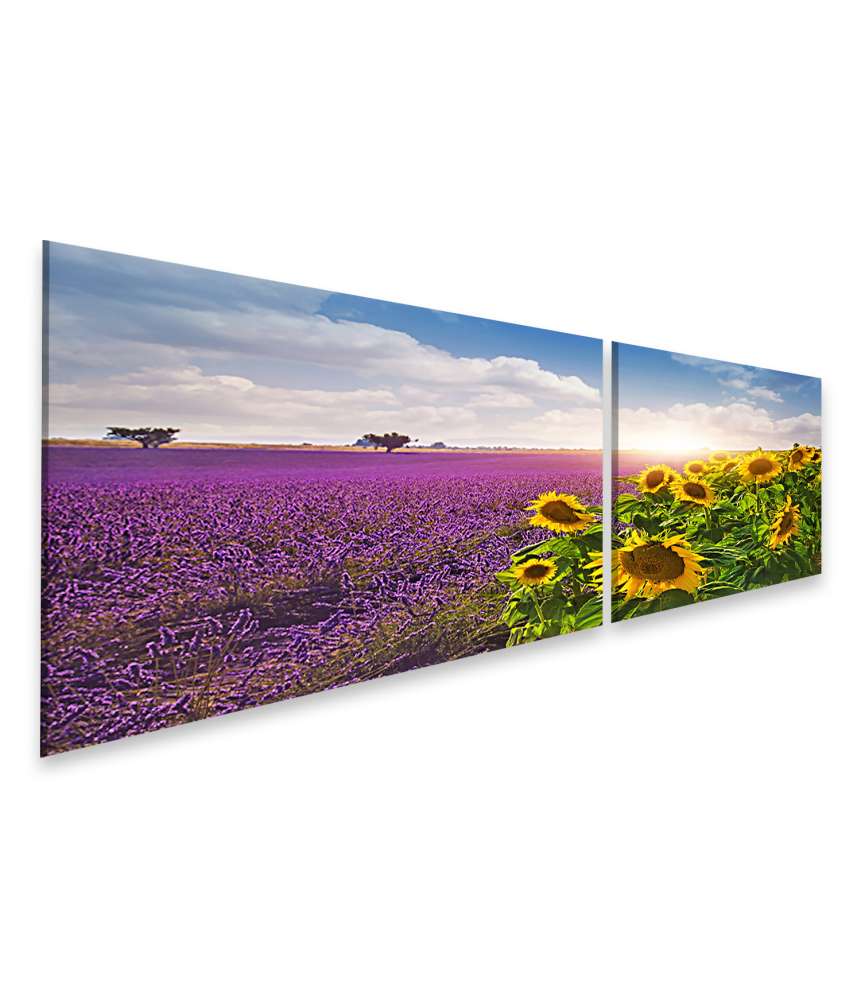 Islandburner Bild auf Leinwand Lavendel- und Sonnenblumenfelder in der Provence Wandbild