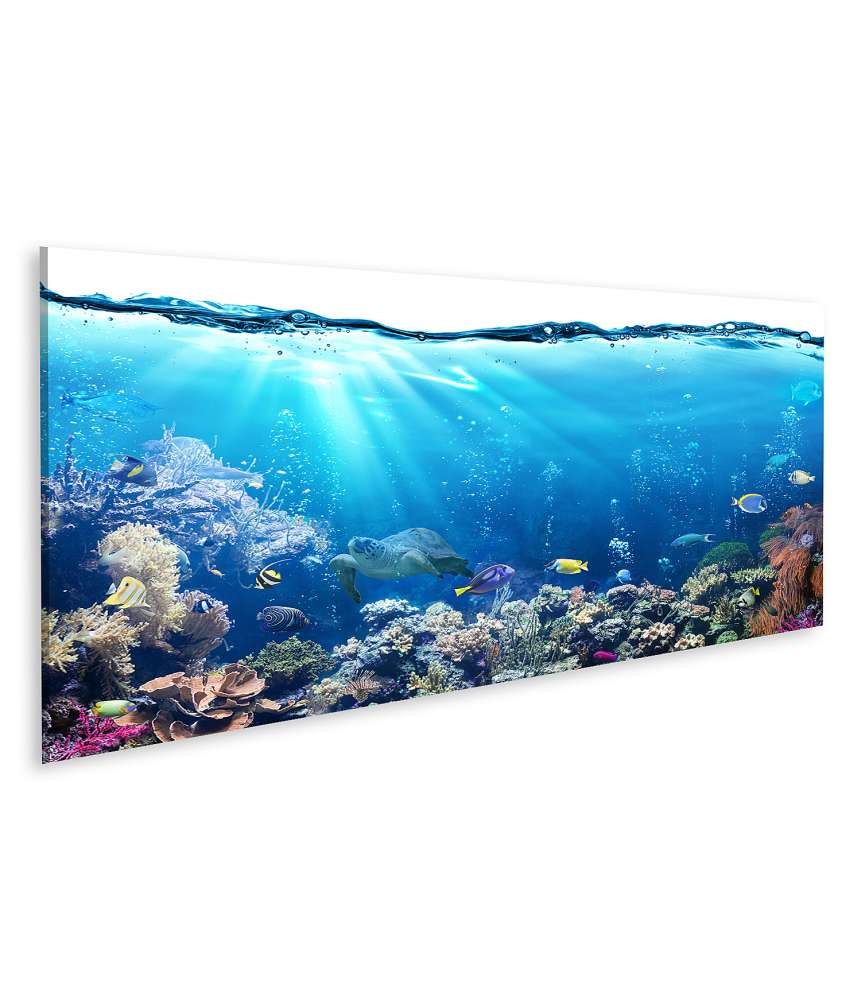 Islandburner Bild auf Leinwand Unterwasser-Aquariumhintergrund mit Korallenriff und tropischen Fischen