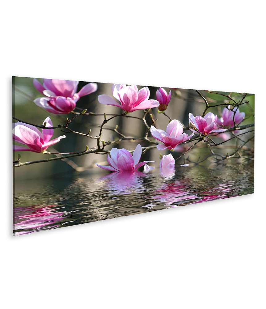 Islandburner Bild auf Leinwand Japanische Magnolienblüten am Wasser Wandbild