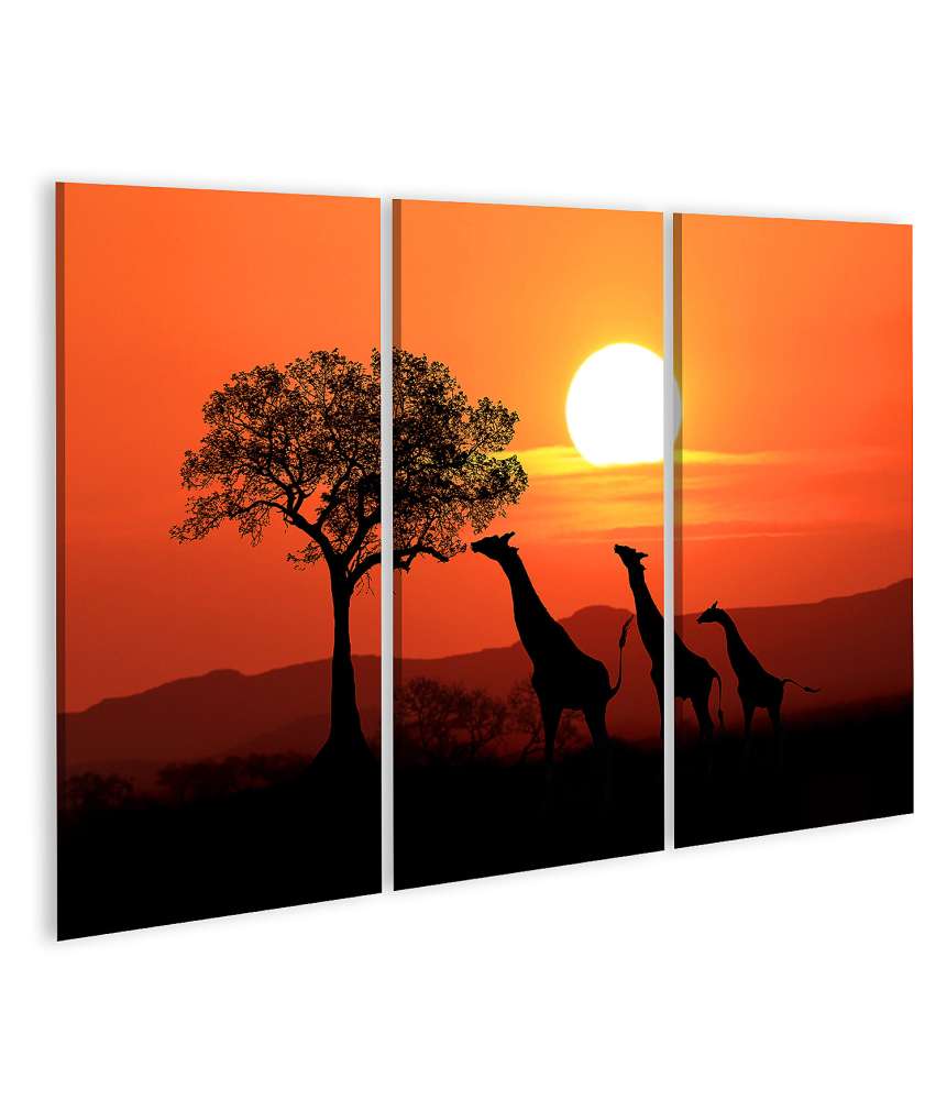 Islandburner Bild auf Leinwand Großes Wandbild: Südafrikanische Giraffen beim Sonnenuntergang in Afrika