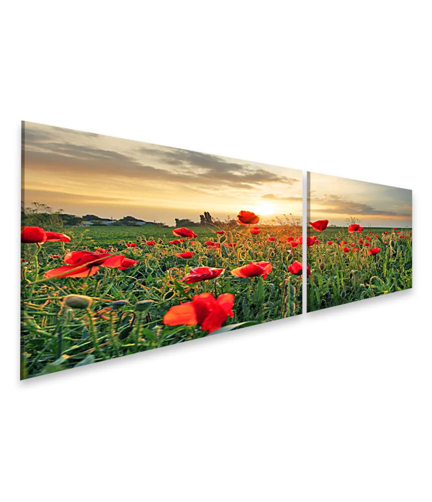 Islandburner Bild auf Leinwand Sonnenuntergang über einem Feld voller Mohnblumen