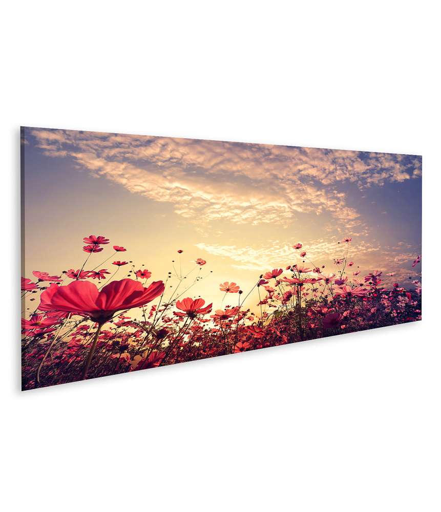 Islandburner Bild auf Leinwand Schönes Wandbild einer sonnigen Landschaft mit roten Kosmos-Blumenfeldern