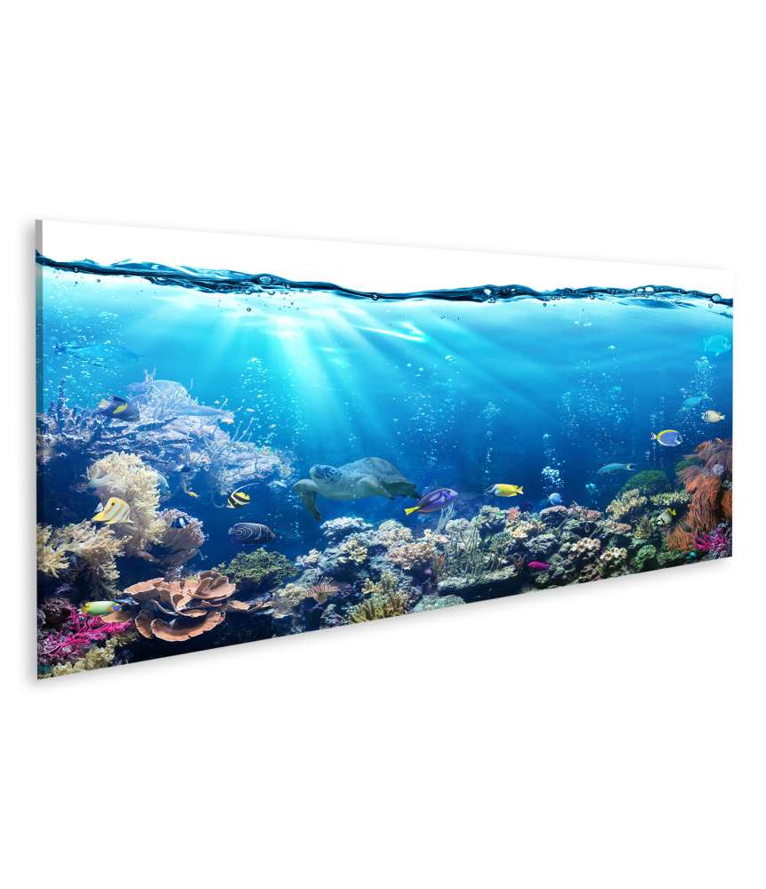 Islandburner Bild auf Leinwand Unterwasserlandschaft mit Korallenriff und tropischen Fischen - Wandbild