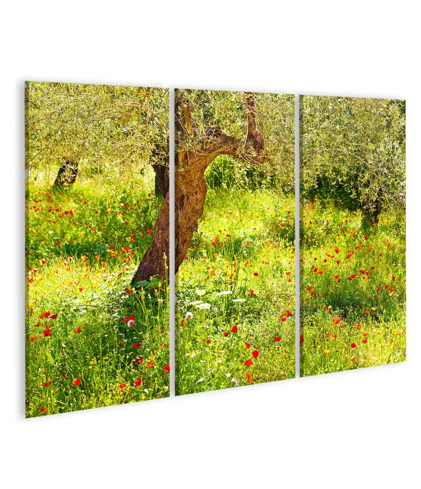 Islandburner Bild auf Leinwand Lebendiges Wandbild einer Mohnblumenwiese mit prächtigem Baum