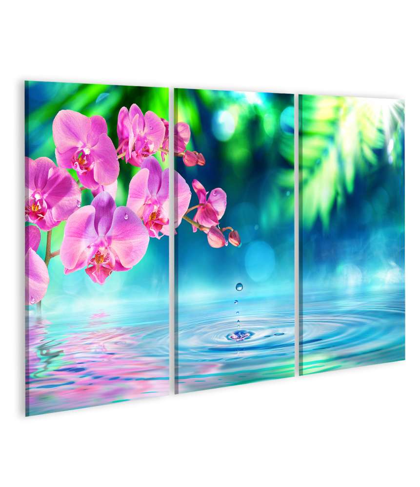 Islandburner Bild auf Leinwand Orchidee im Zen-Garten mit Teich und funkelnden Wassertropfen