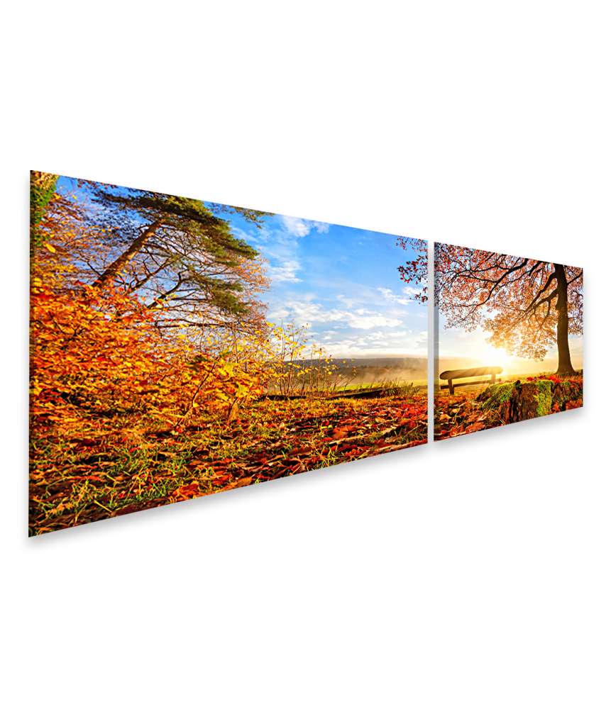 Islandburner Bild auf Leinwand Sonnendurchflutete Herbstlandschaft mit einer Bank unter einem Baum