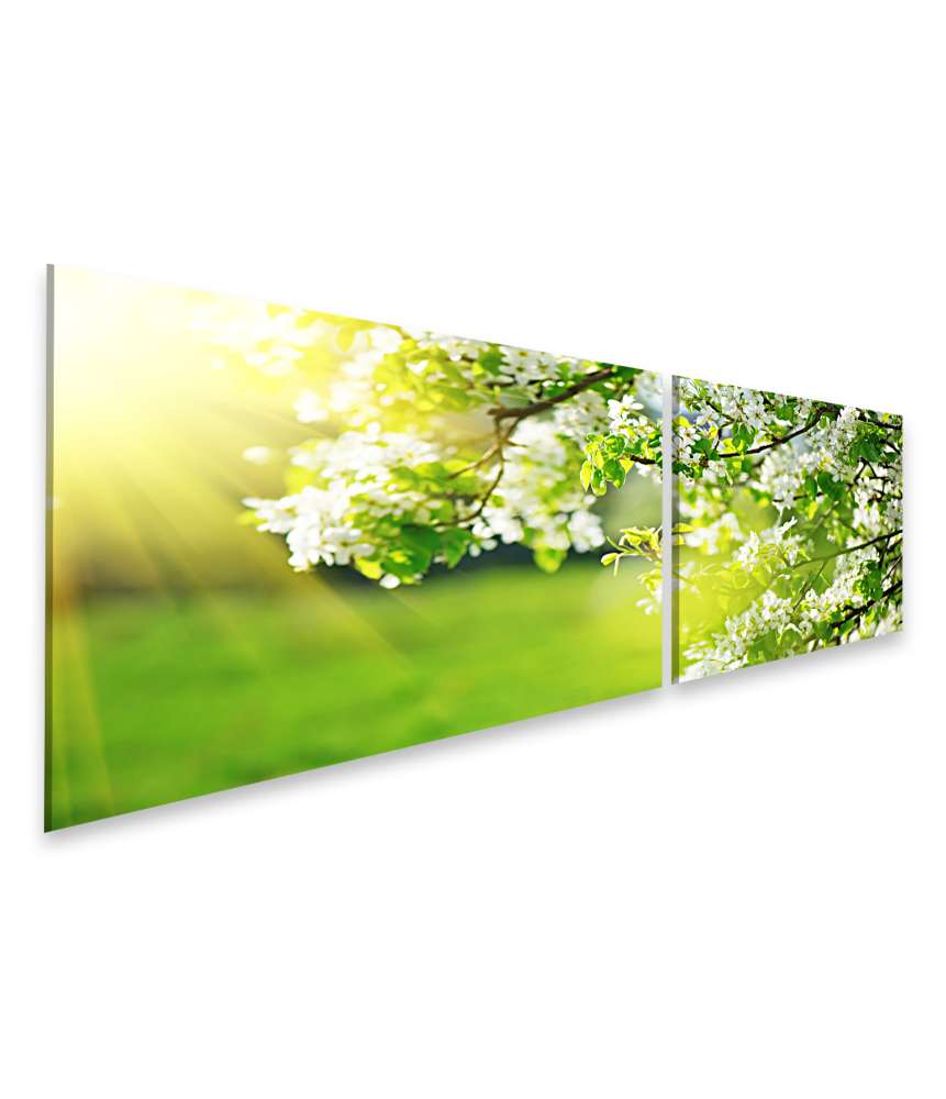 Islandburner Bild auf Leinwand Frühlingshaftes Wandbild mit blühendem Baum und Sonnenaufgang