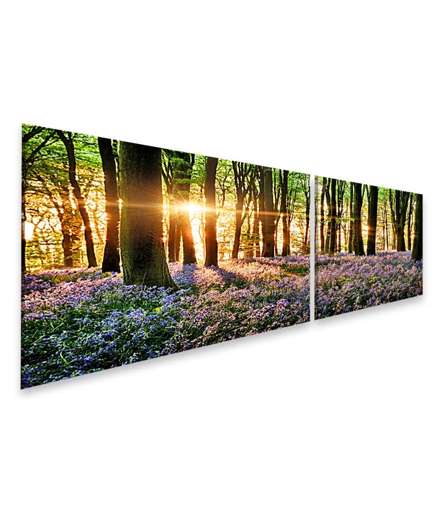 Islandburner Bild auf Leinwand Morgenlicht erweckt blühende Glockenblumen im Wald zum Leben