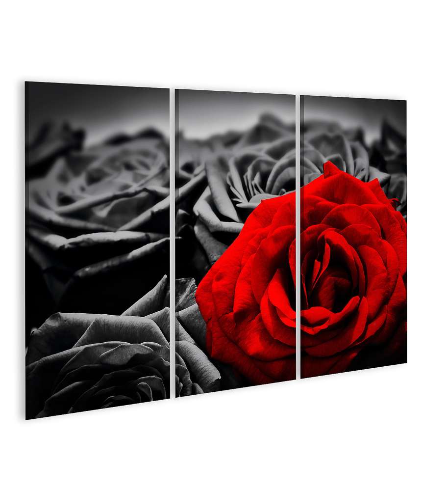 Islandburner Bild auf Leinwand Romantische Wandbild-Grußkarte mit roter Rose für Valentins- oder Muttertag