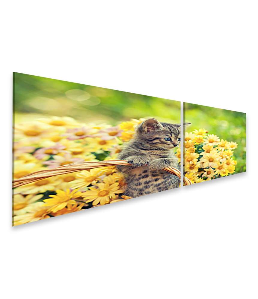 Bild auf Leinwand Entzückendes Wandbild eines jungen Kätzchens in einem blumenreichen Garten