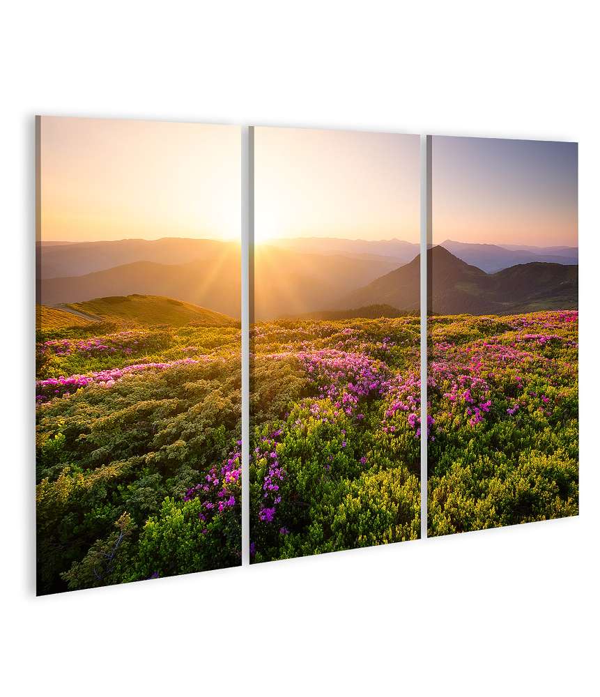 Islandburner Bild auf Leinwand Sonnenaufgang über blühenden Blumen und Berghügeln in natürlicher Landschaft