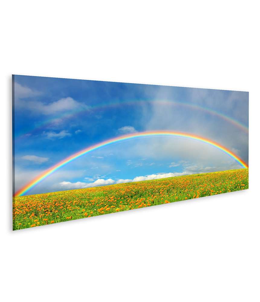 Islandburner Bild auf Leinwand Bunte Regenbogenlandschaft mit blühendem Blumenfeld