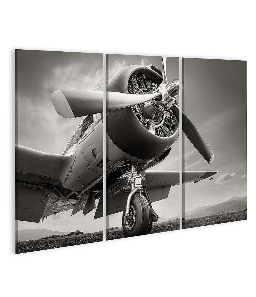 Islandburner Bild auf Leinwand Dramatischer Himmel hinter historischem Flugzeug 152A Wandbild