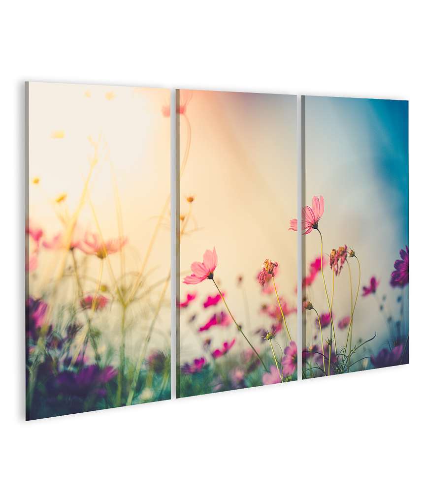 Islandburner Bild auf Leinwand Wundervolles Wandbild eines Gartens voller farbenfroher Cosmos-Blumen