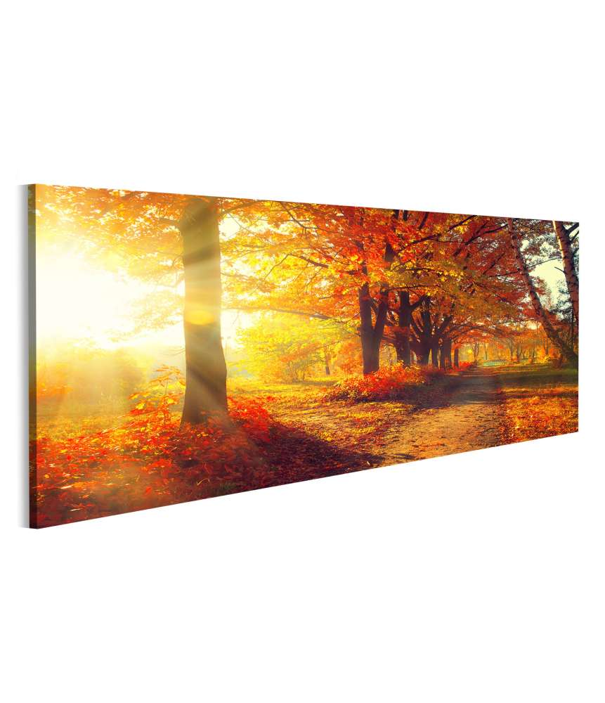 Islandburner Bild auf Leinwand Herbstpark mit sonnenbeschienenen, herbstlich gefärbten Bäumen und Blättern