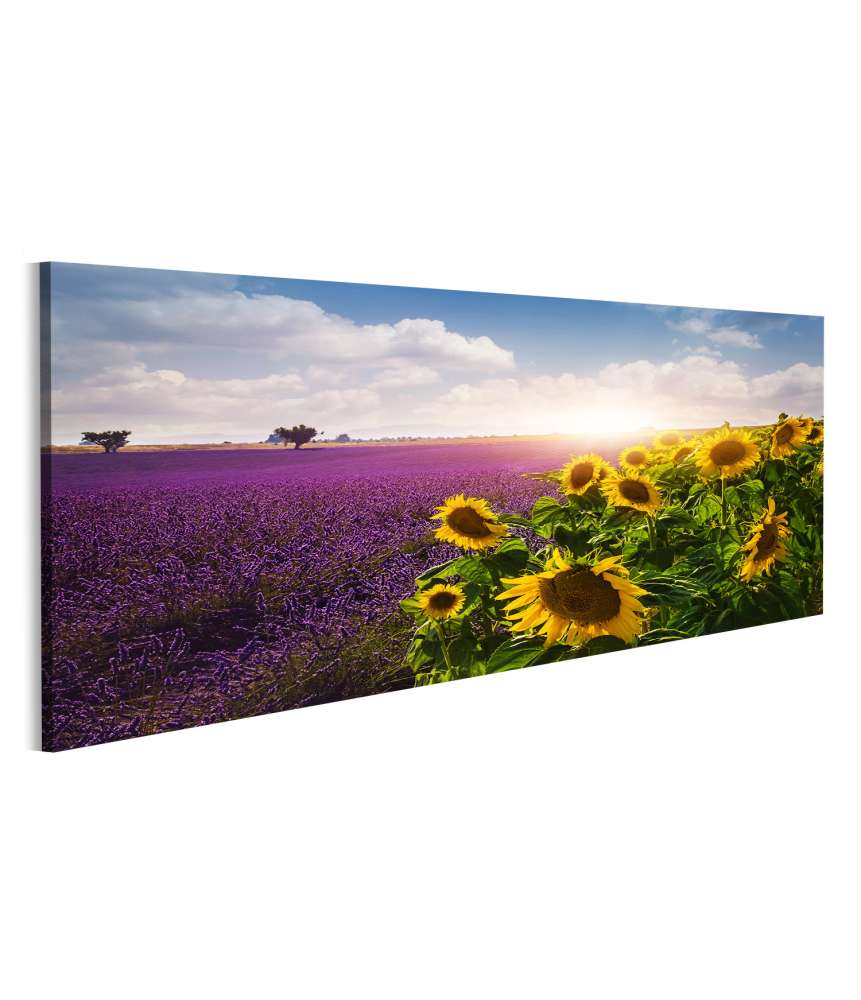 Islandburner Bild auf Leinwand Lavendel- und Sonnenblumenfelder in der Provence Wandbild