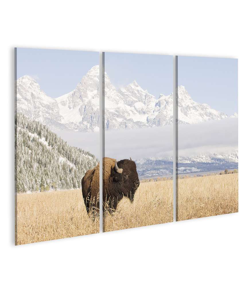 Islandburner Bild auf Leinwand Majestätisches Wandbild eines Bisons vor den Grand Teton Bergen