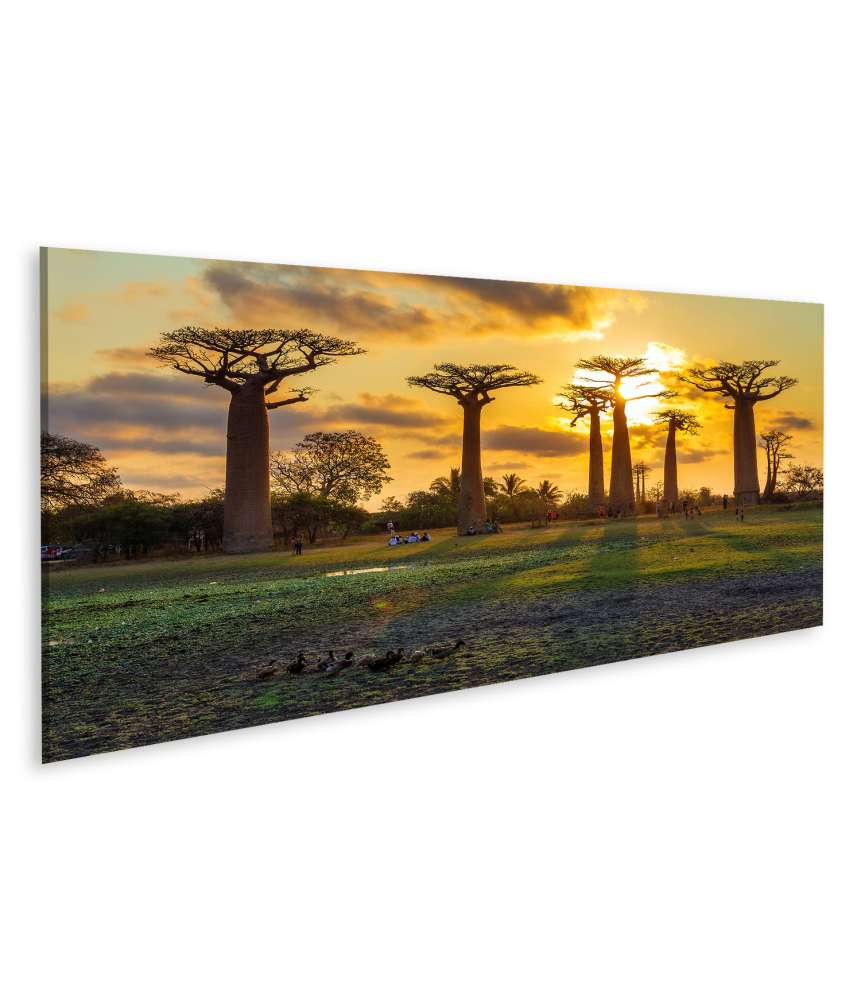 Islandburner Bild auf Leinwand Atemberaubender Sonnenuntergang zwischen Baobabs in Madagaskar