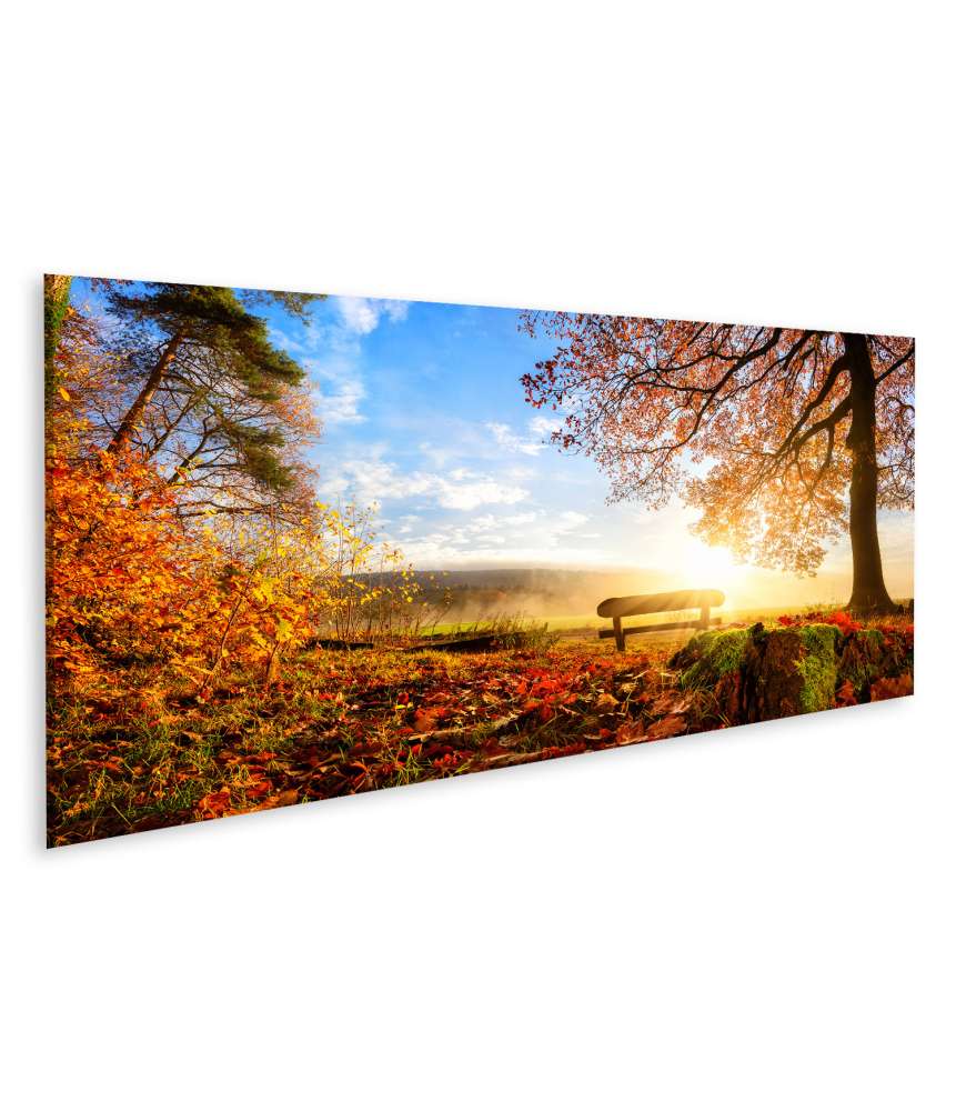 Islandburner Bild auf Leinwand Sonnendurchflutete Herbstlandschaft mit einer Bank unter einem Baum