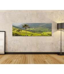 Bild auf Leinwand Malerisches Wandbild mit Wachspalmen im idyllischen Cocora Tal, Kolumbien