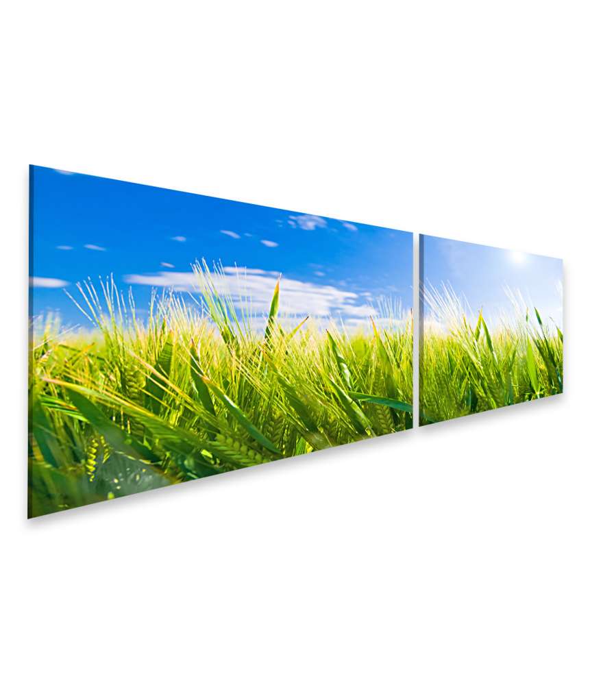 Islandburner Bild auf Leinwand Sonniges Weizenfeld: Idyllische Agrarlandschaft Wandbild 99A