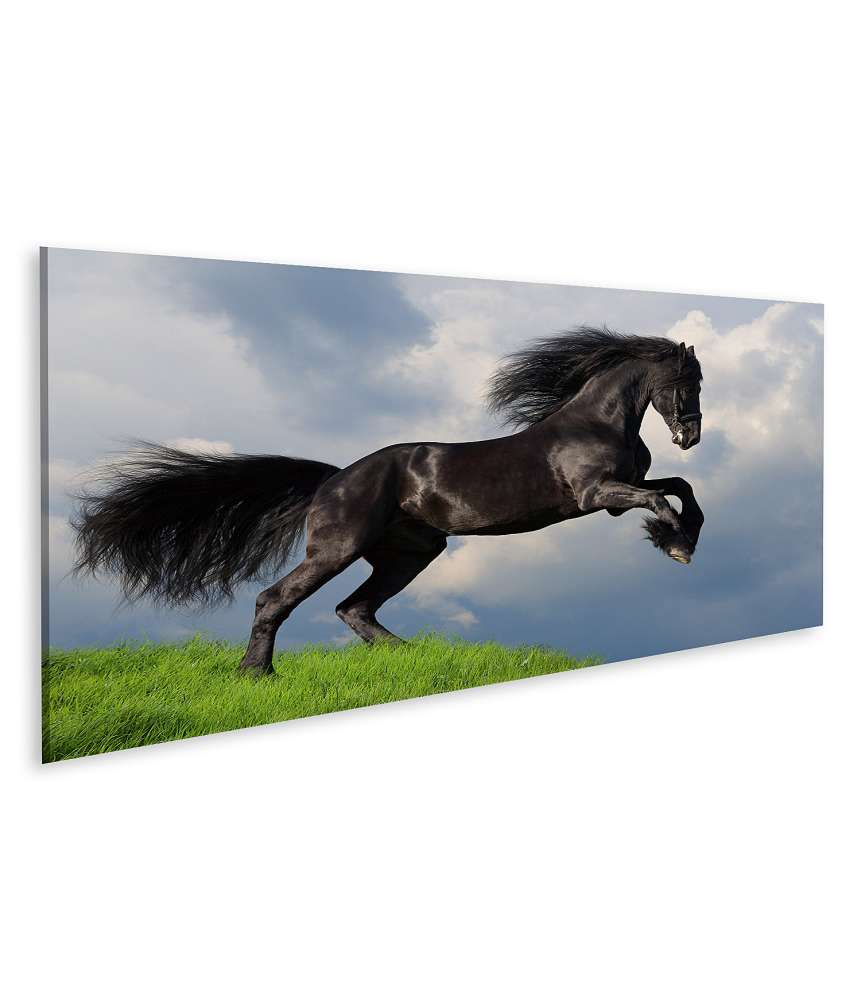 Bild auf Leinwand Friesisches Pferd in voller Galopp auf Wandbild dargestellt