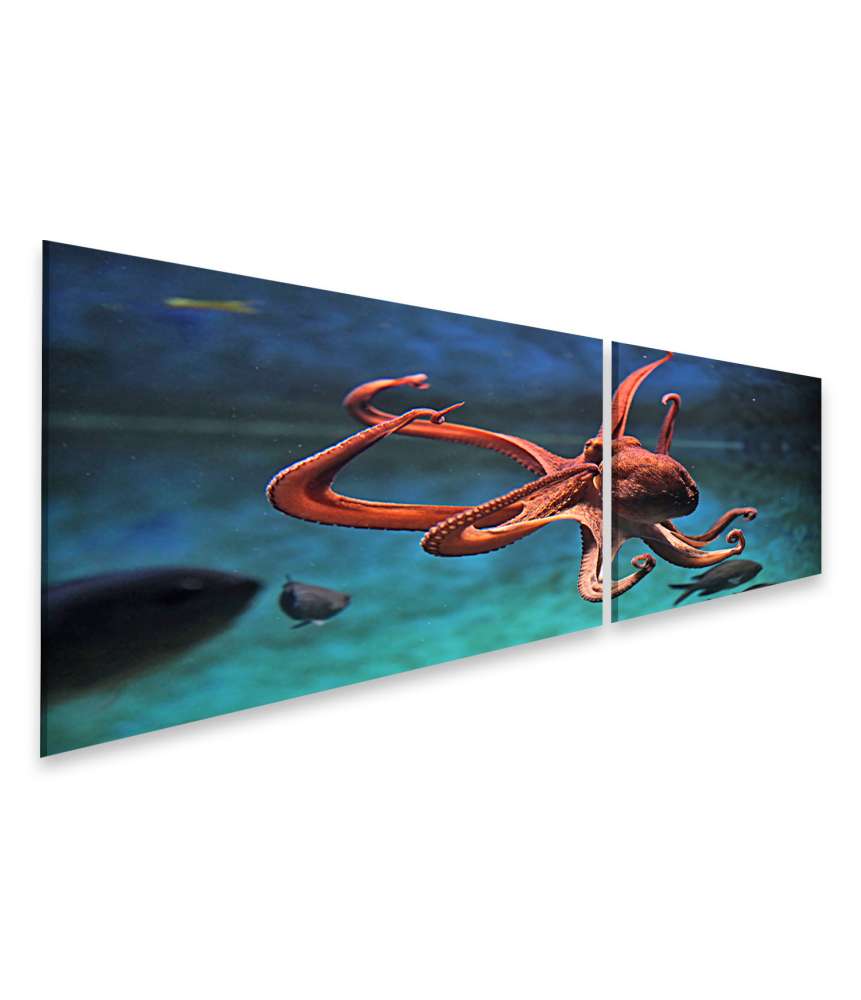 Islandburner Bild auf Leinwand Wildlife-Kunst: Lebensechter Oktopus (Octopus Vulgaris) Wandbild