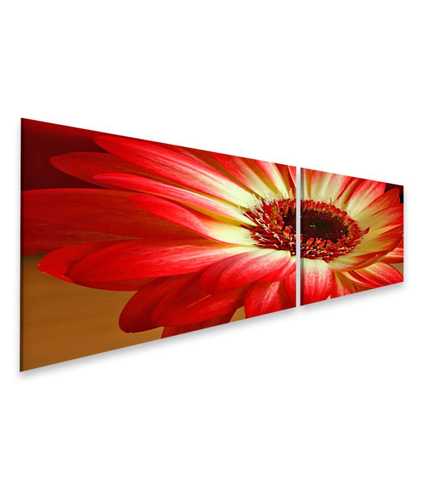 Islandburner Bild auf Leinwand Leuchtend rote und gelbe Blumen auf dem Wandbild