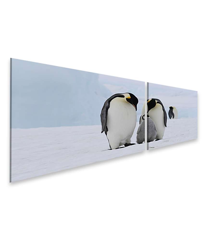 Islandburner Bild auf Leinwand Wandbild einer Pinguinfamilie in der eisigen Antarktis