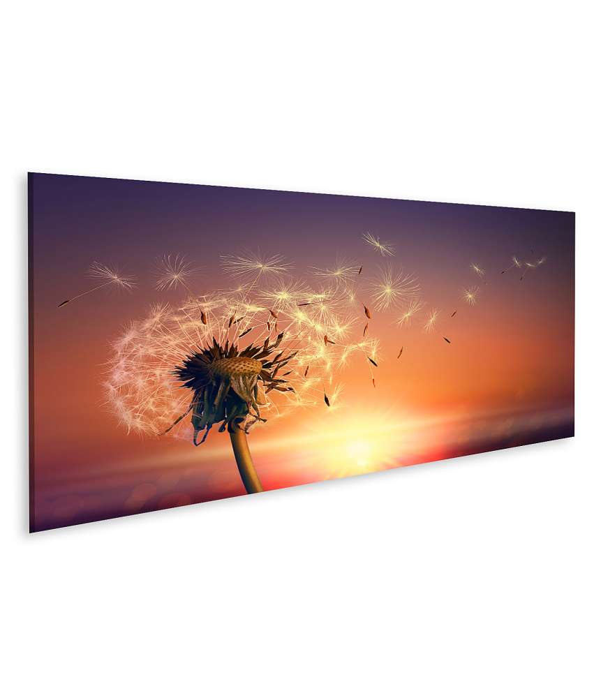 Islandburner Bild auf Leinwand Atemberaubende Pusteblume im Sonnenlicht, flauschig und strahlend