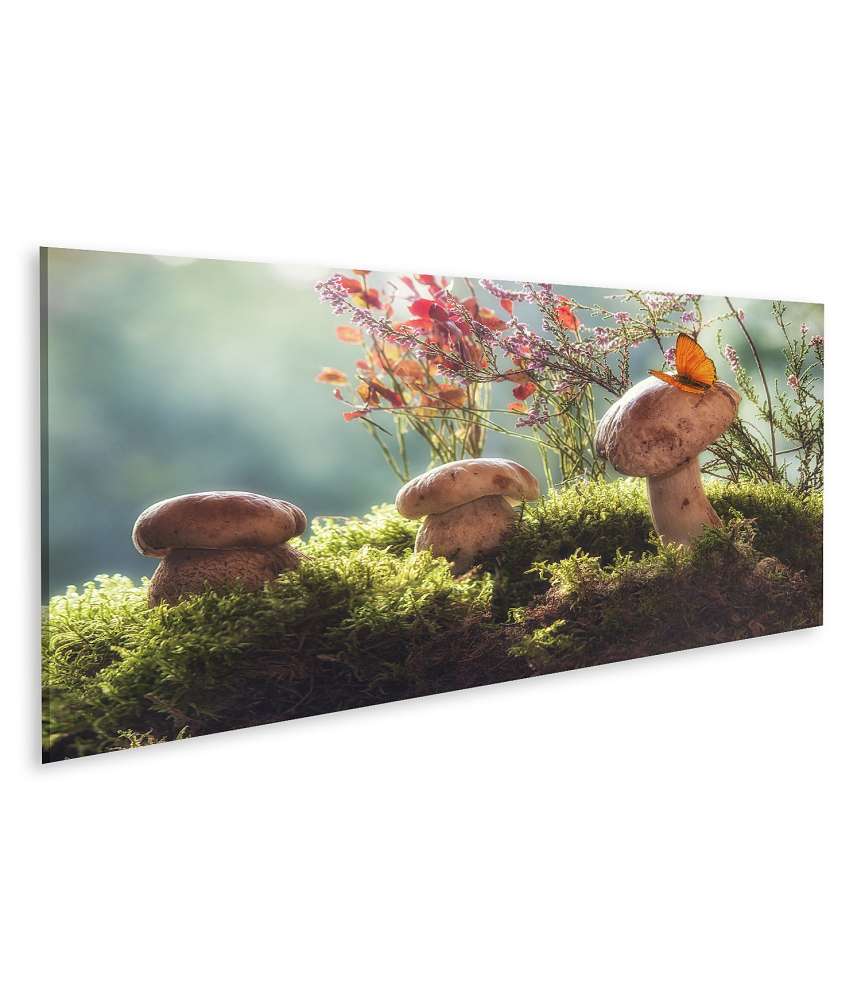 Islandburner Bild auf Leinwand Herbstliches Stillleben mit Pilzen und Blumen: Waldkunst Fotografie Wandbild