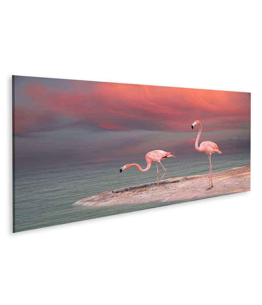 Islandburner Bild auf Leinwand Rosa Flamingo am idyllischen Strand Floridas