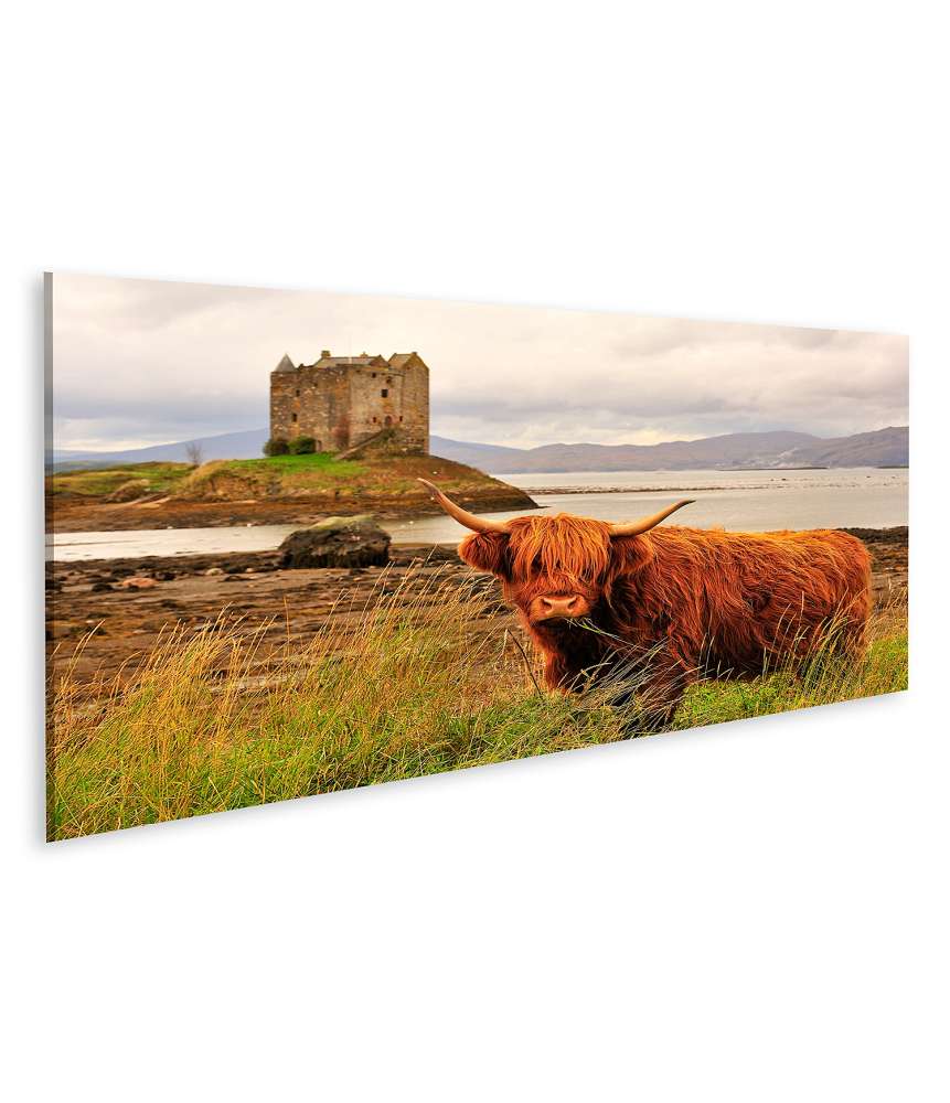 Islandburner Bild auf Leinwand Wandbild einer Hochlandkuh am Loch Linnhe, Schottland