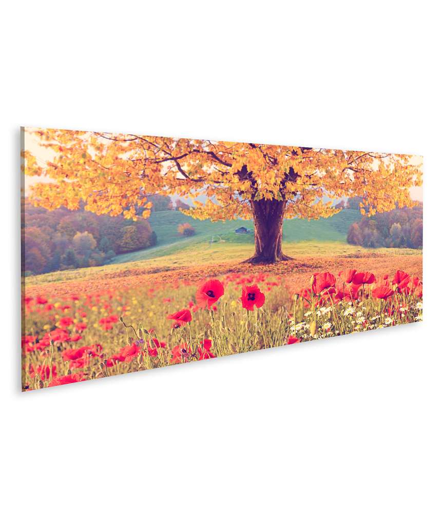 Islandburner Bild auf Leinwand Herbstliche Landschaft mit Mohnblumen und Baum in wundervollen Farben