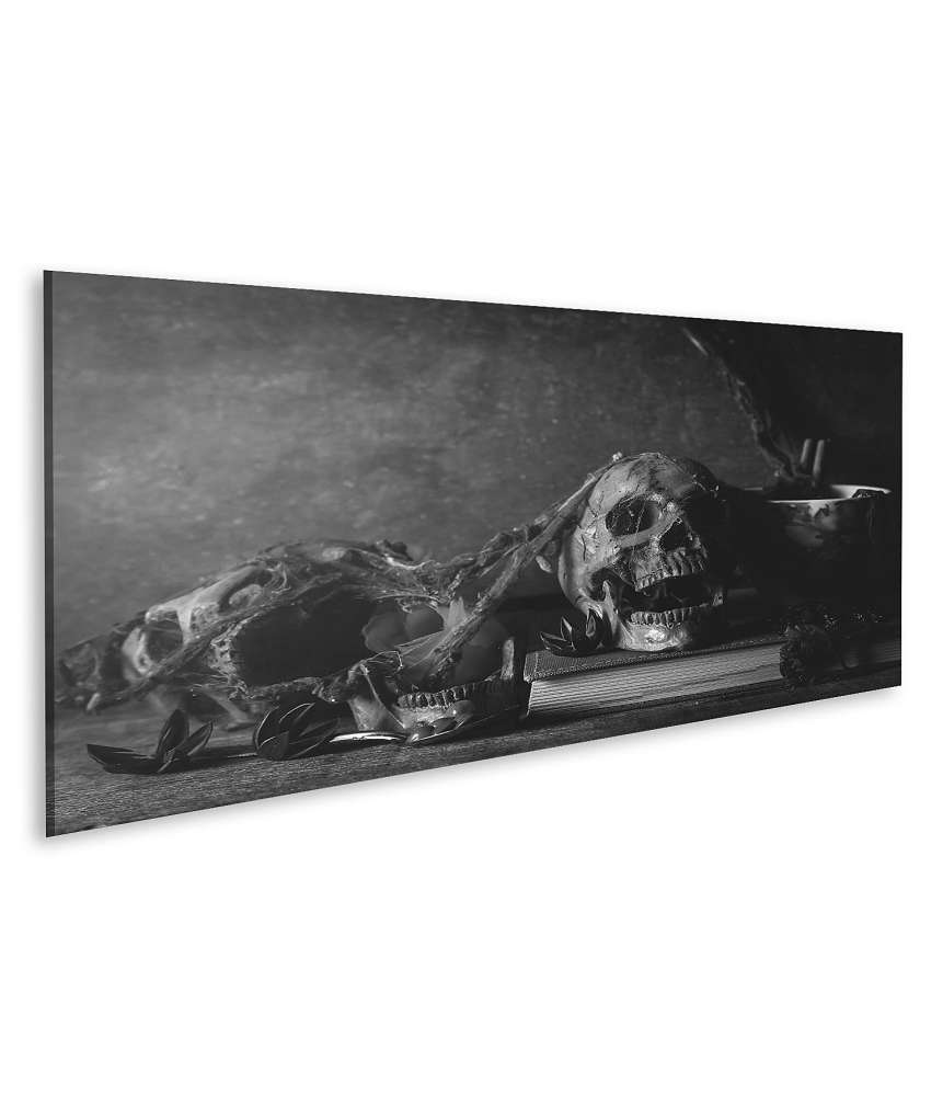 Islandburner Bild auf Leinwand Schwarz-Weiß Fotografie eines Totenkopf-Stilllebens