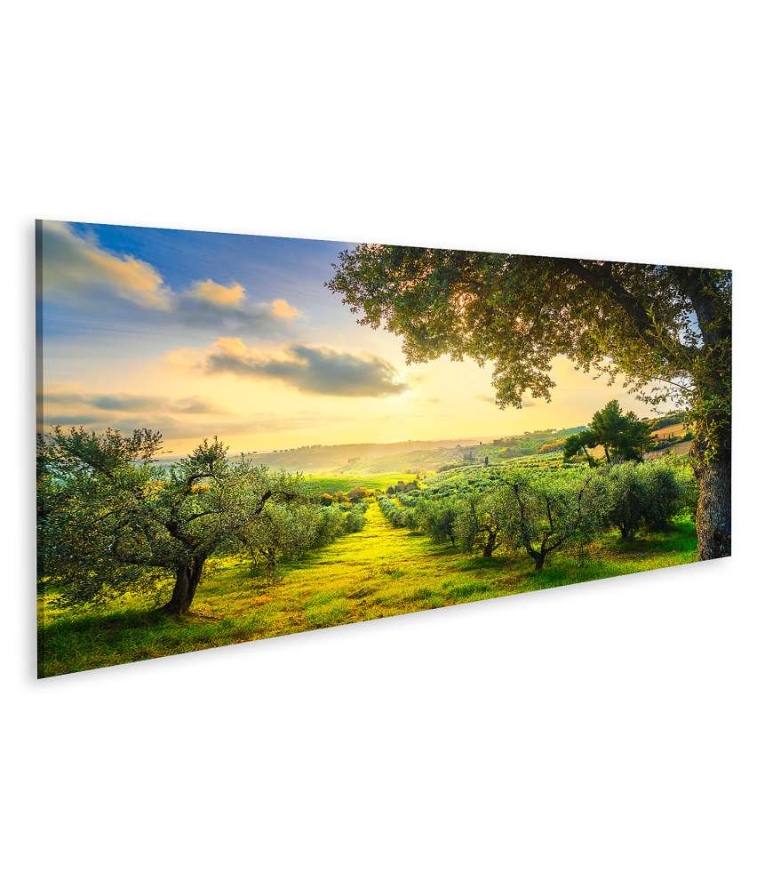 Islandburner Bild auf Leinwand Panoramablick auf Maremma, Olivenbäume und Sonnenuntergang bei Casale Maritti