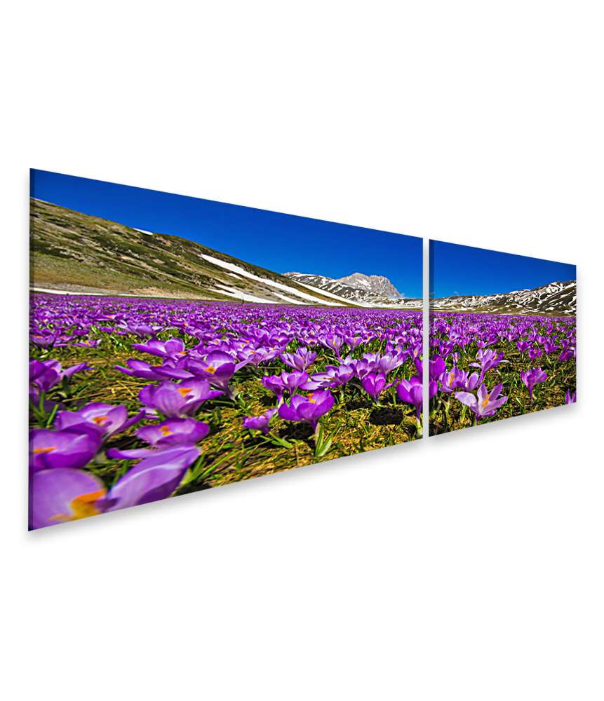 Islandburner Bild auf Leinwand Berglandschaft mit wilden Krokusblüten auf Wandteppich, Campo Imperatore, Italien