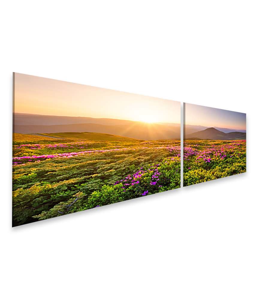 Islandburner Bild auf Leinwand Sonnenaufgang über blühenden Blumen und Berghügeln in natürlicher Landschaft