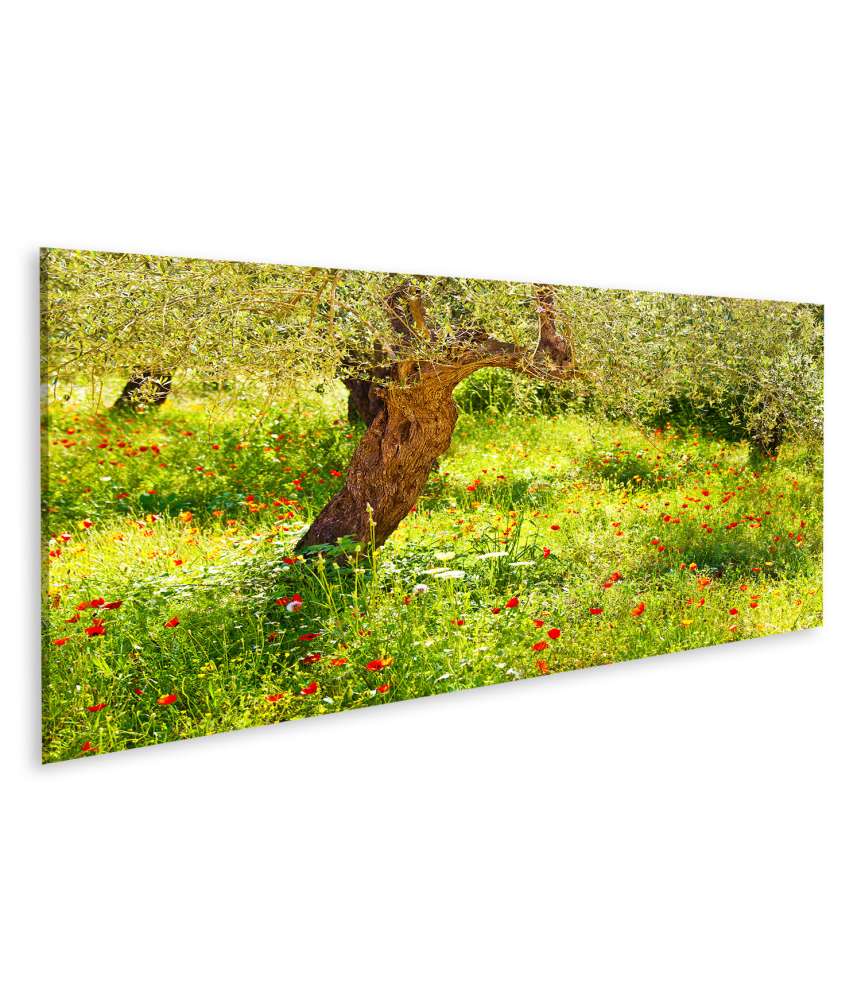 Islandburner Bild auf Leinwand Lebendiges Wandbild einer Mohnblumenwiese mit prächtigem Baum