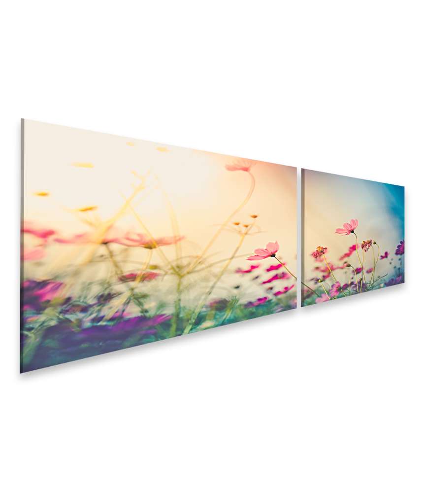 Islandburner Bild auf Leinwand Wundervolles Wandbild eines Gartens voller farbenfroher Cosmos-Blumen