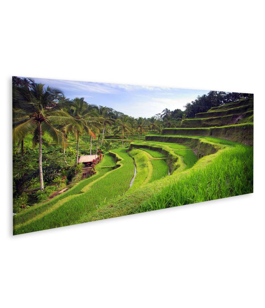 Islandburner Bild auf Leinwand Atemberaubendes Wandbild der Tegallalang Reisterrassen in Ubud, Bali