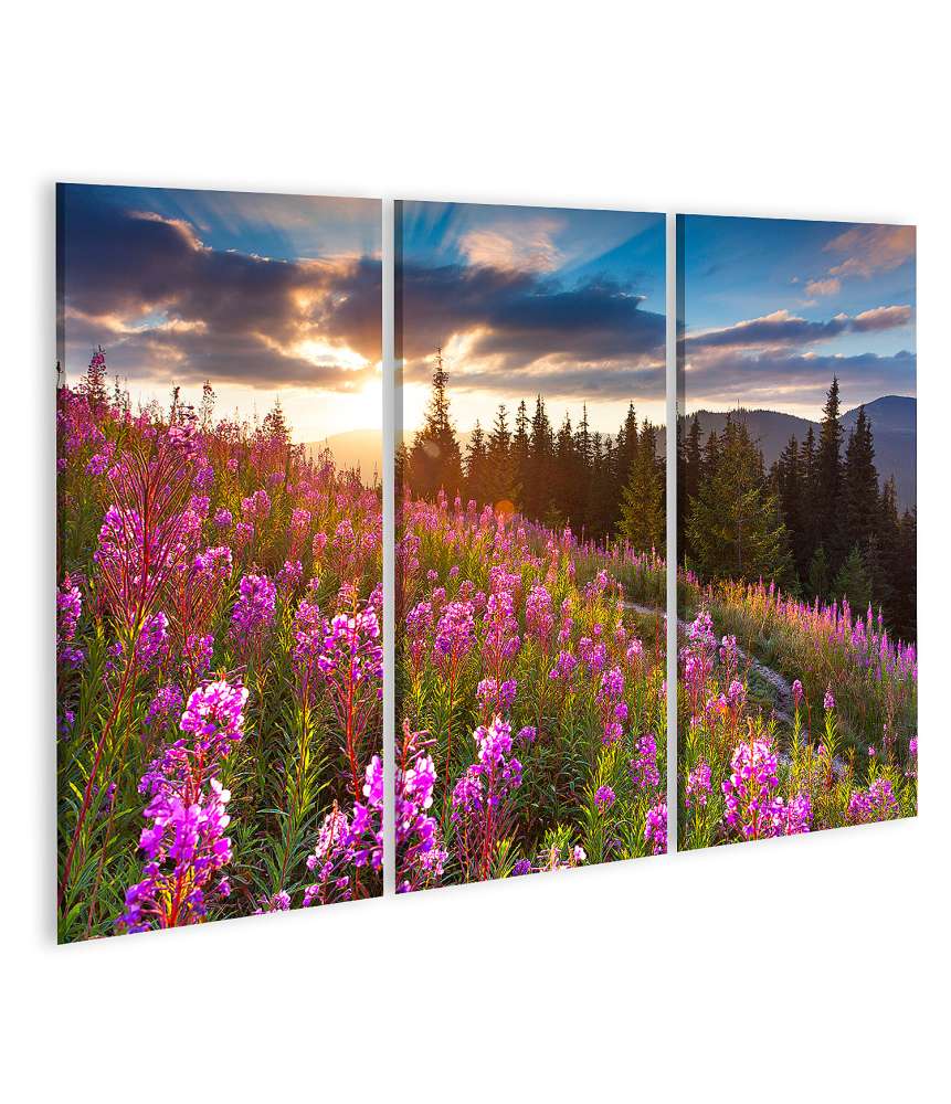 Islandburner Bild auf Leinwand Beeindruckendes Wandbild: Herbstliche Berglandschaft mit rosa Blumen