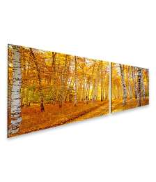 Bild auf Leinwand Stimmungsvolles Herbstpanorama eines Birkenwaldes