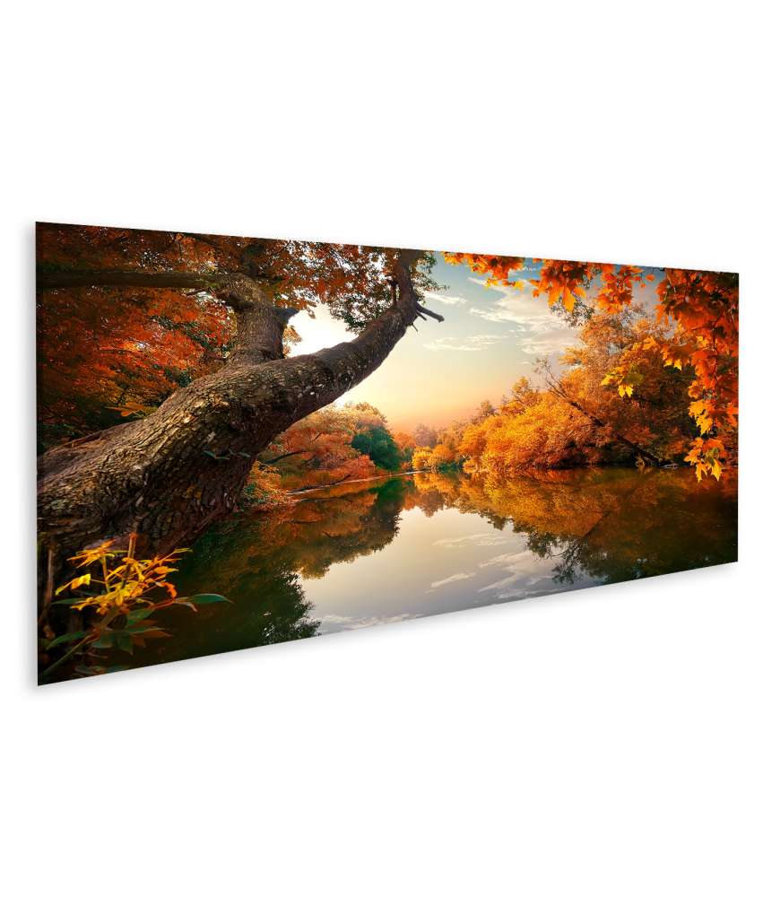 Islandburner Bild auf Leinwand Herbstlicher Wald mit orangefarbenem Fluss, Wandbild 130A